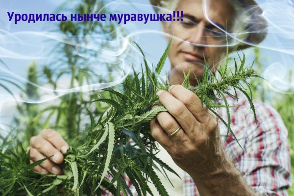 Вход в кракен даркнет