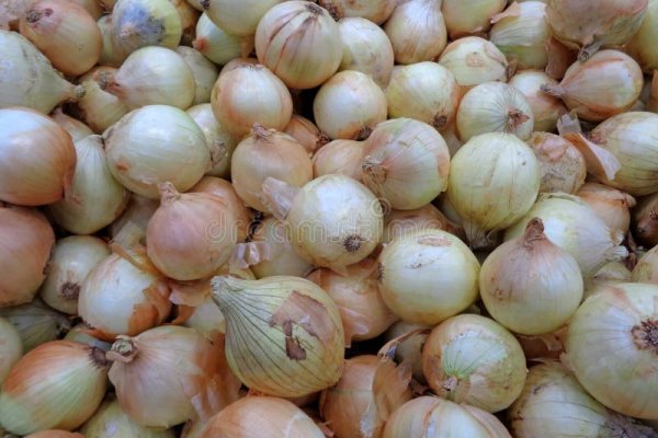 Где найти рабочую ссылку на кракен
